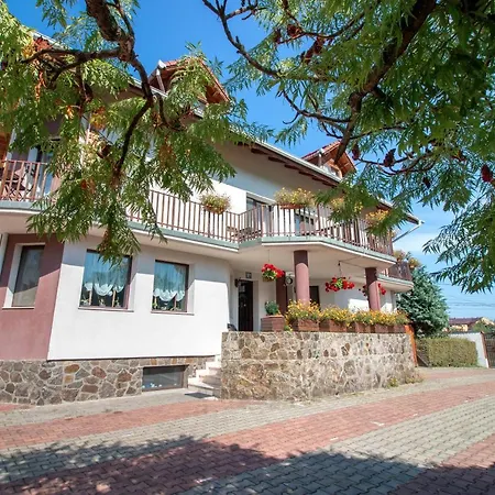 Casa Din Noua