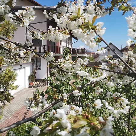 Casa Din Noua Guest house 3*