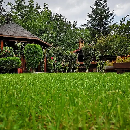 Casa Din Noua Pensjonat 3*