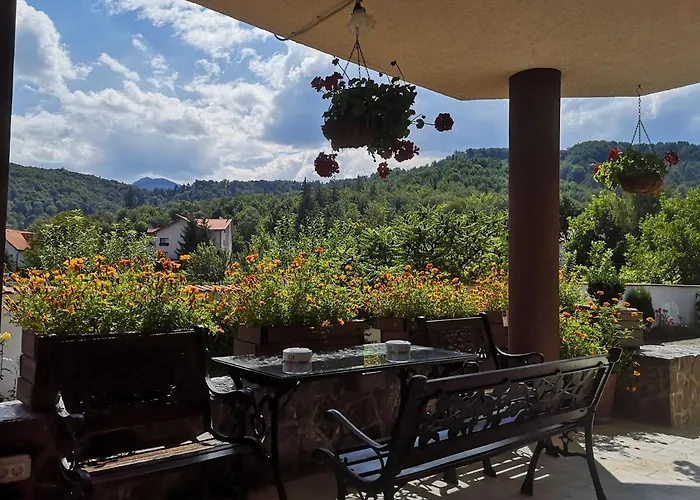 Pensjonat Casa Din Noua 3*