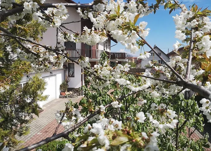 Casa Din Noua Guest house 3*