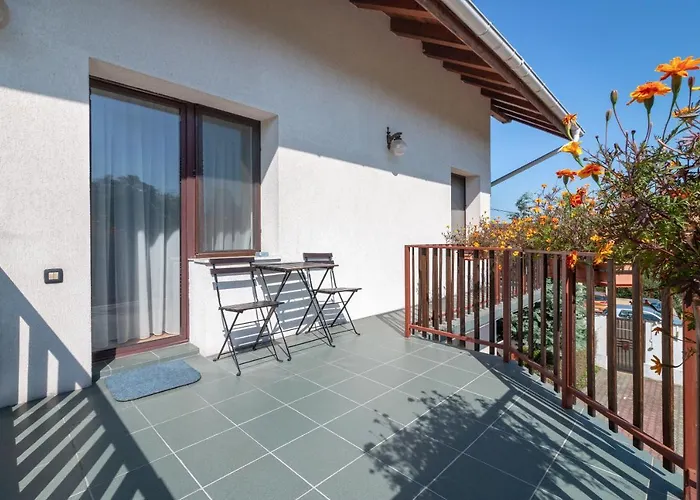 Guest house Casa Din Noua 3*