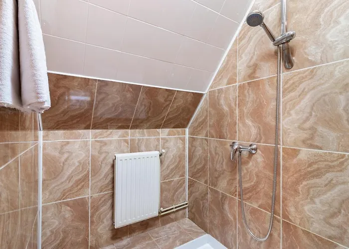 Casa Din Noua Guest house