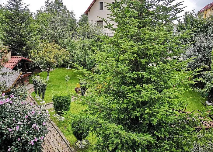 Pensjonat Casa Din Noua Braszów